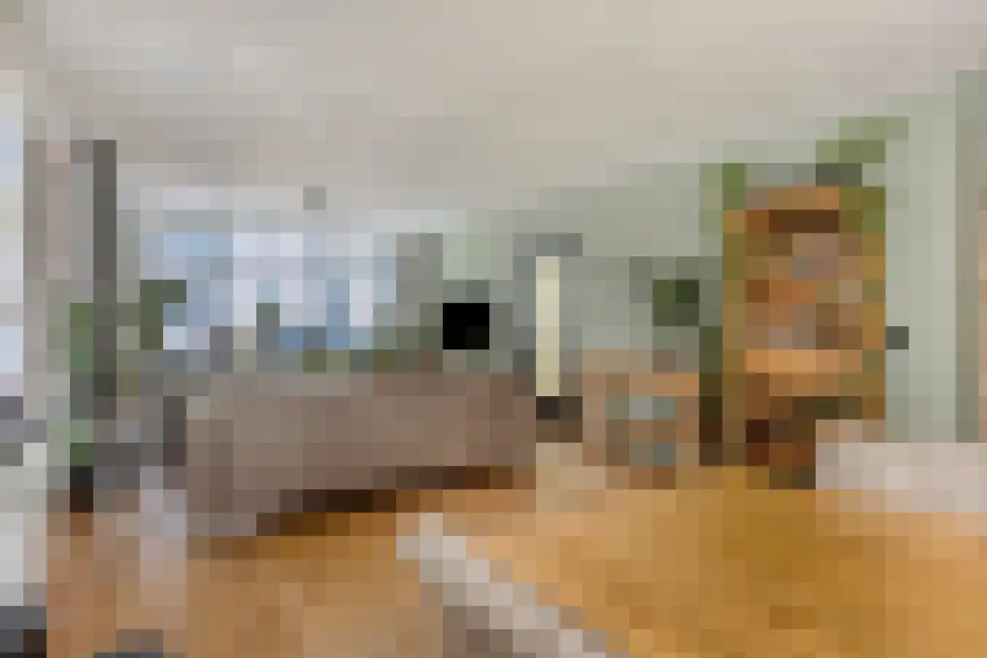 Zuidelijke Achterweg 10 Nieuwe-Tonge thumbnail 12