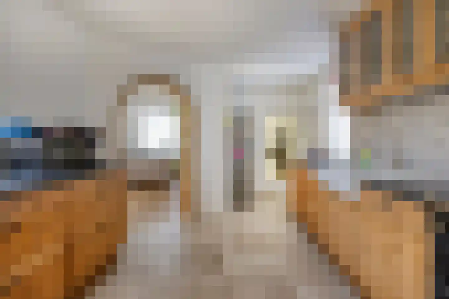 Zuidelijke Achterweg 10 Nieuwe-Tonge thumbnail 15