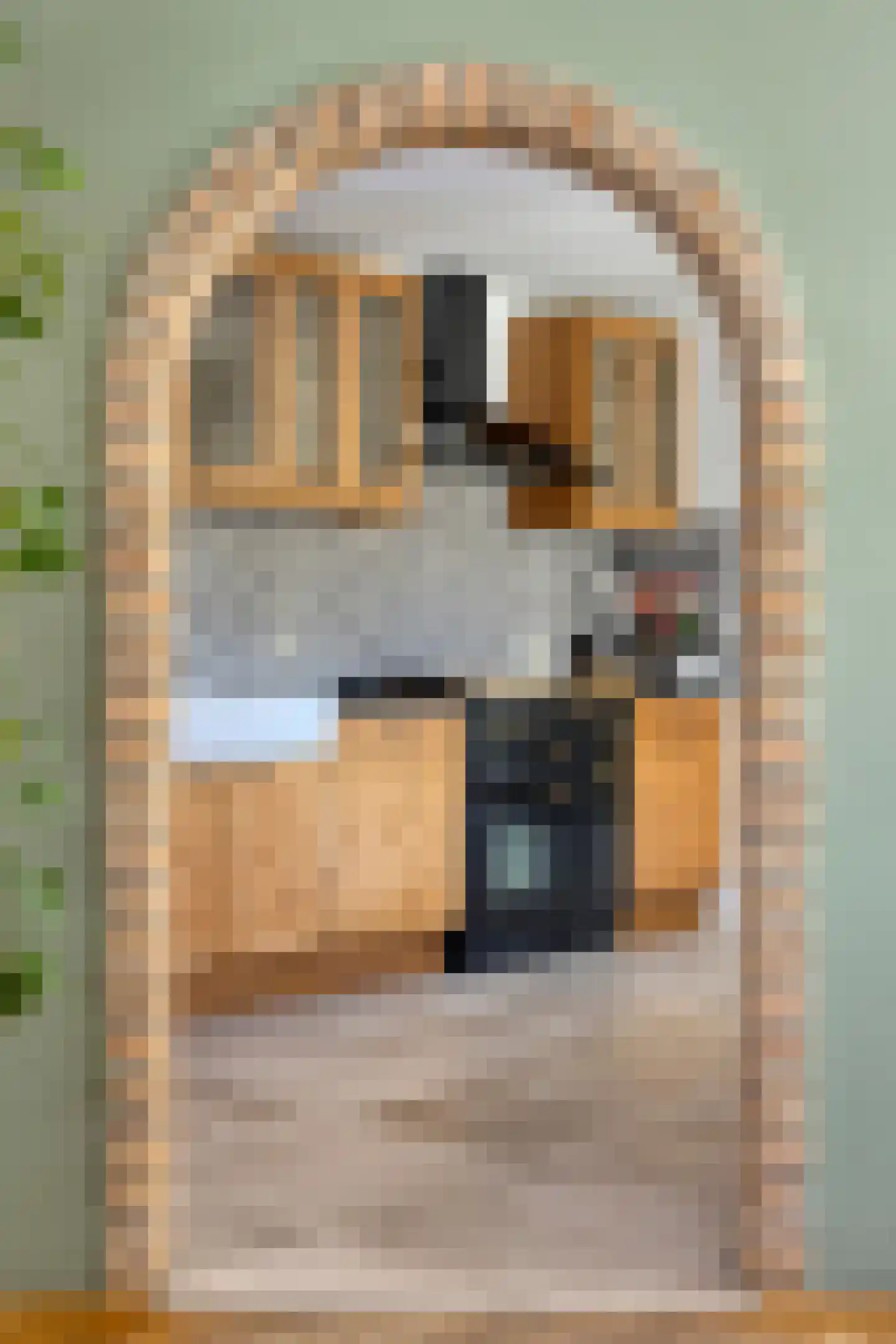 Zuidelijke Achterweg 10 Nieuwe-Tonge thumbnail 16