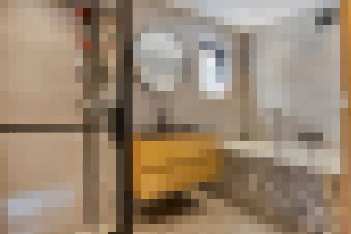 Zuidelijke Achterweg 10 Nieuwe-Tonge thumbnail 24