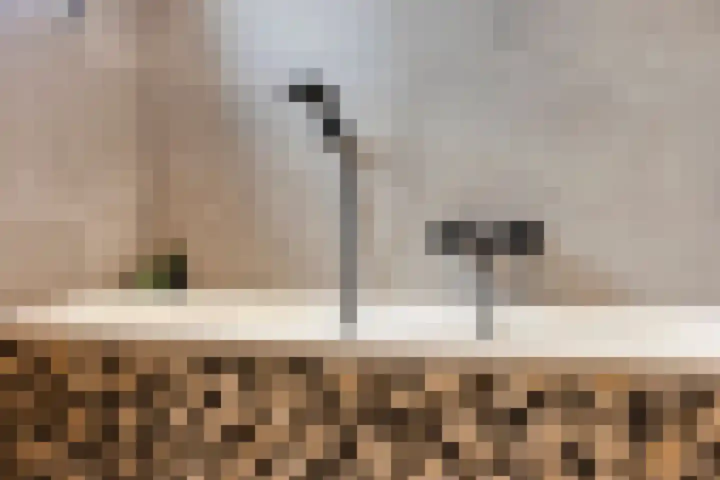 Zuidelijke Achterweg 10 Nieuwe-Tonge thumbnail 27