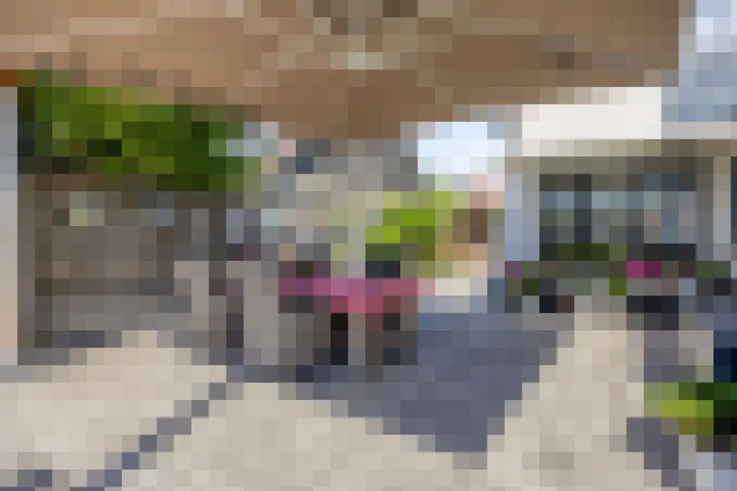 Zuidelijke Achterweg 10 Nieuwe-Tonge thumbnail 37