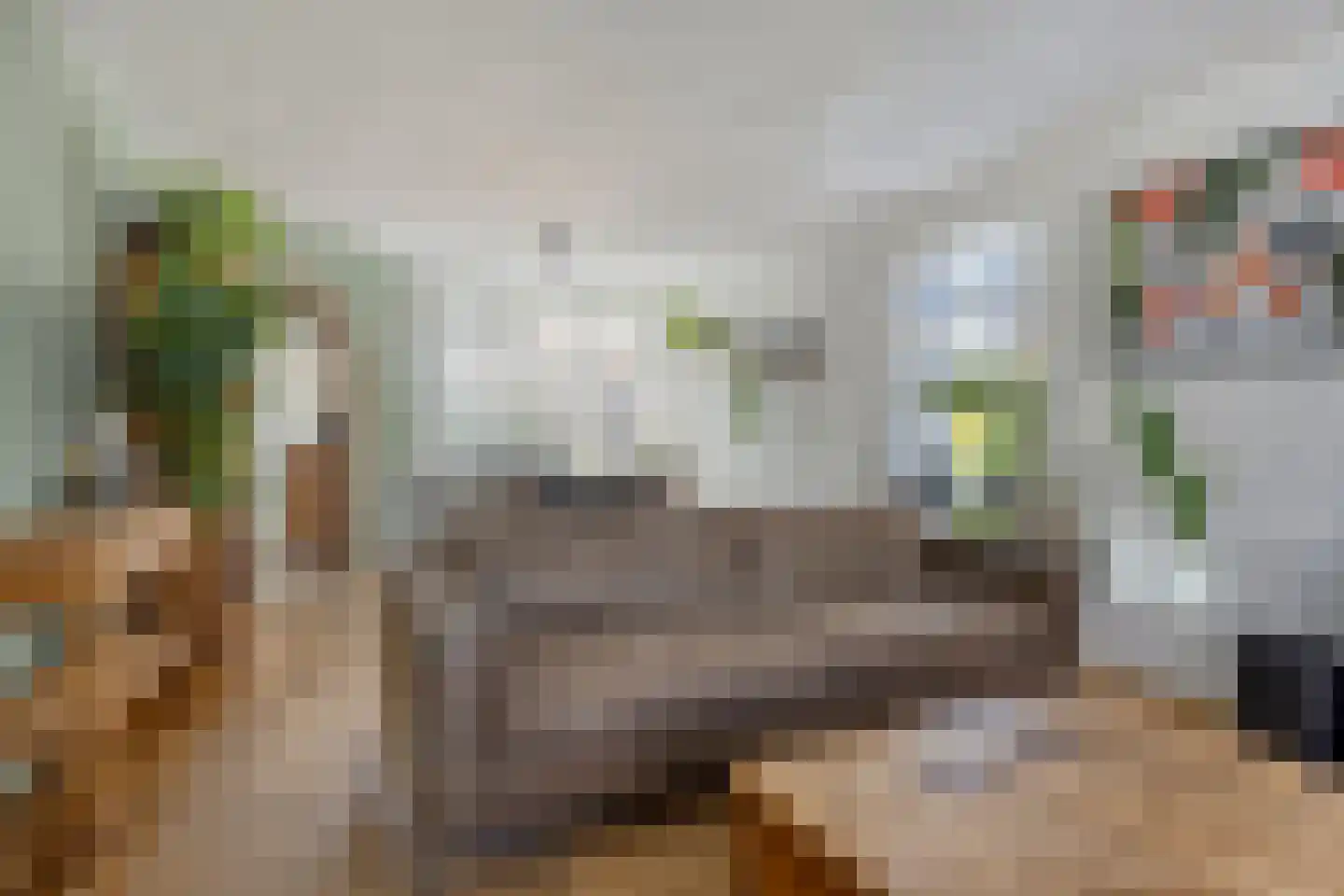 Zuidelijke Achterweg 10 Nieuwe-Tonge thumbnail 9