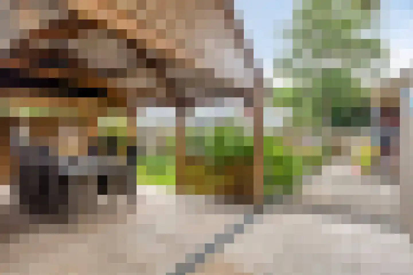Zuidelijke Achterweg 2 Nieuwe-Tonge thumbnail 31