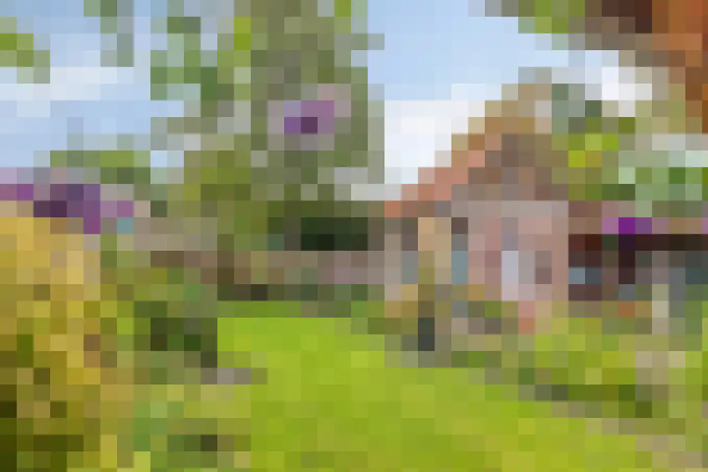 Zuidelijke Achterweg 2 Nieuwe-Tonge thumbnail 34