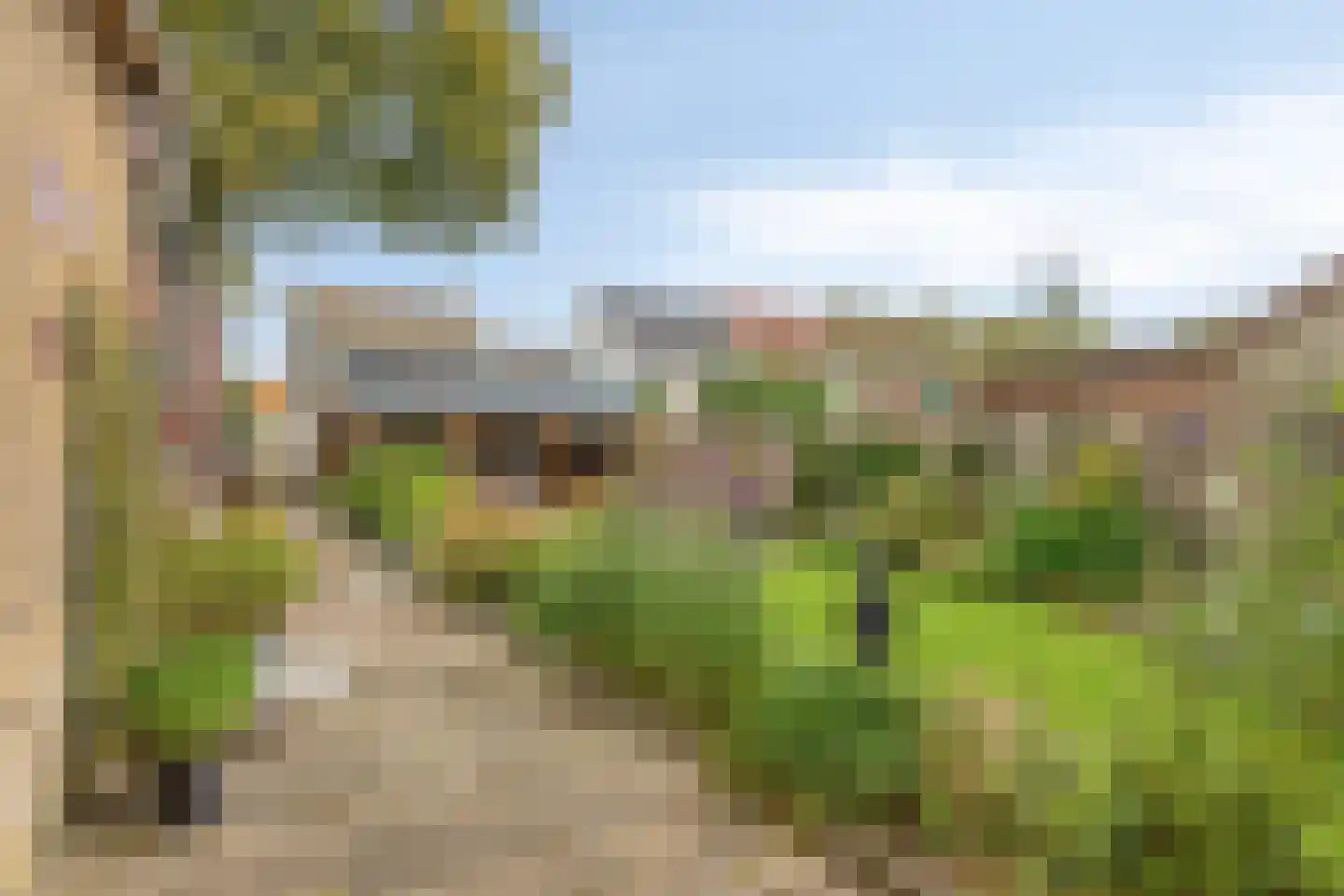 Zuidelijke Achterweg 2 Nieuwe-Tonge thumbnail 41