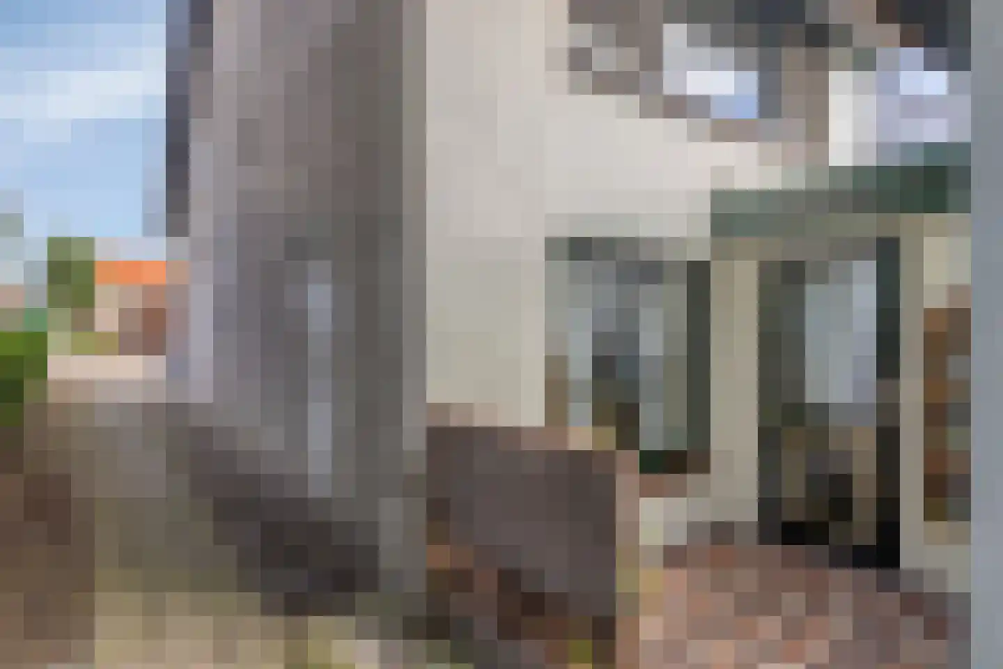 Zuidelijke Achterweg 2 Nieuwe-Tonge thumbnail 43