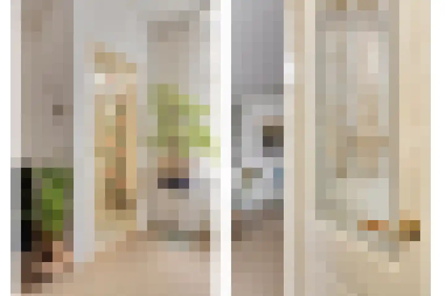 Zuidelijke Achterweg 2 Nieuwe-Tonge thumbnail 5
