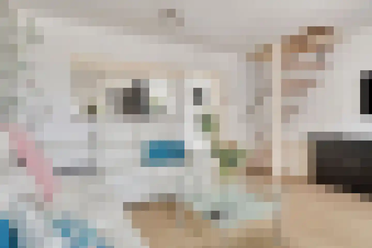 Zuidelijke Achterweg 2 Nieuwe-Tonge thumbnail 8