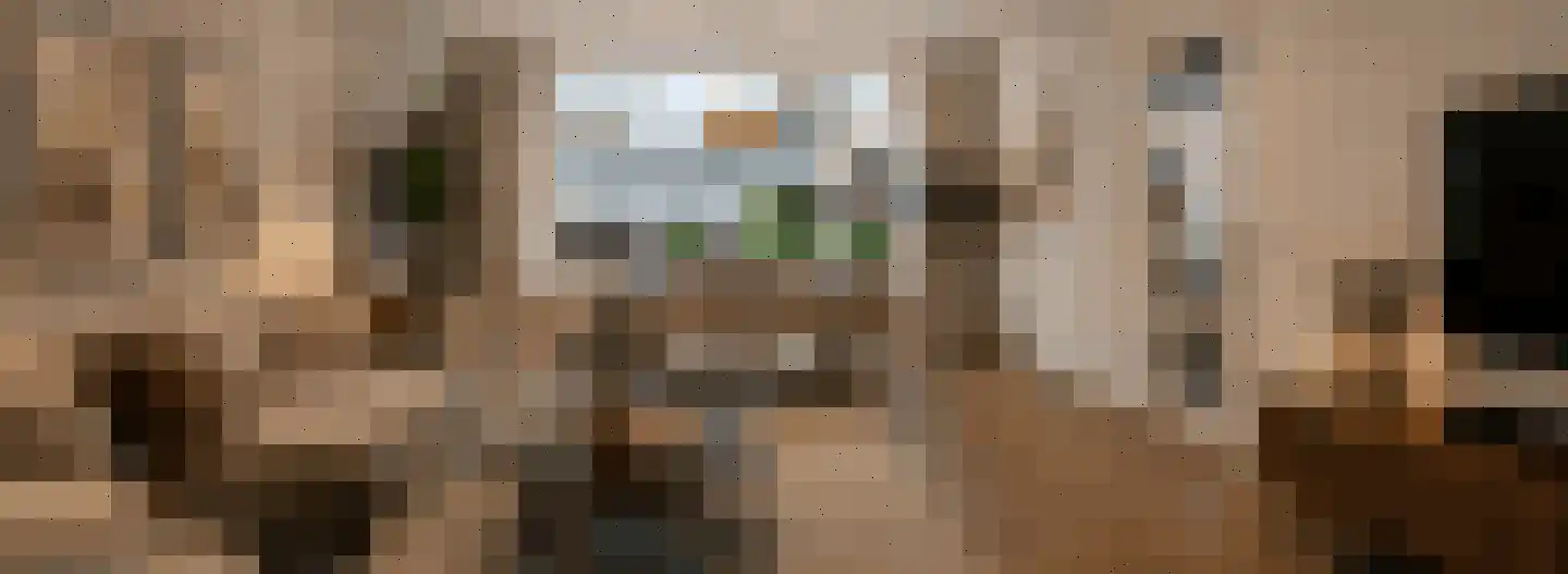 Zuidelijke Achterweg 3 Nieuwe-Tonge thumbnail 10