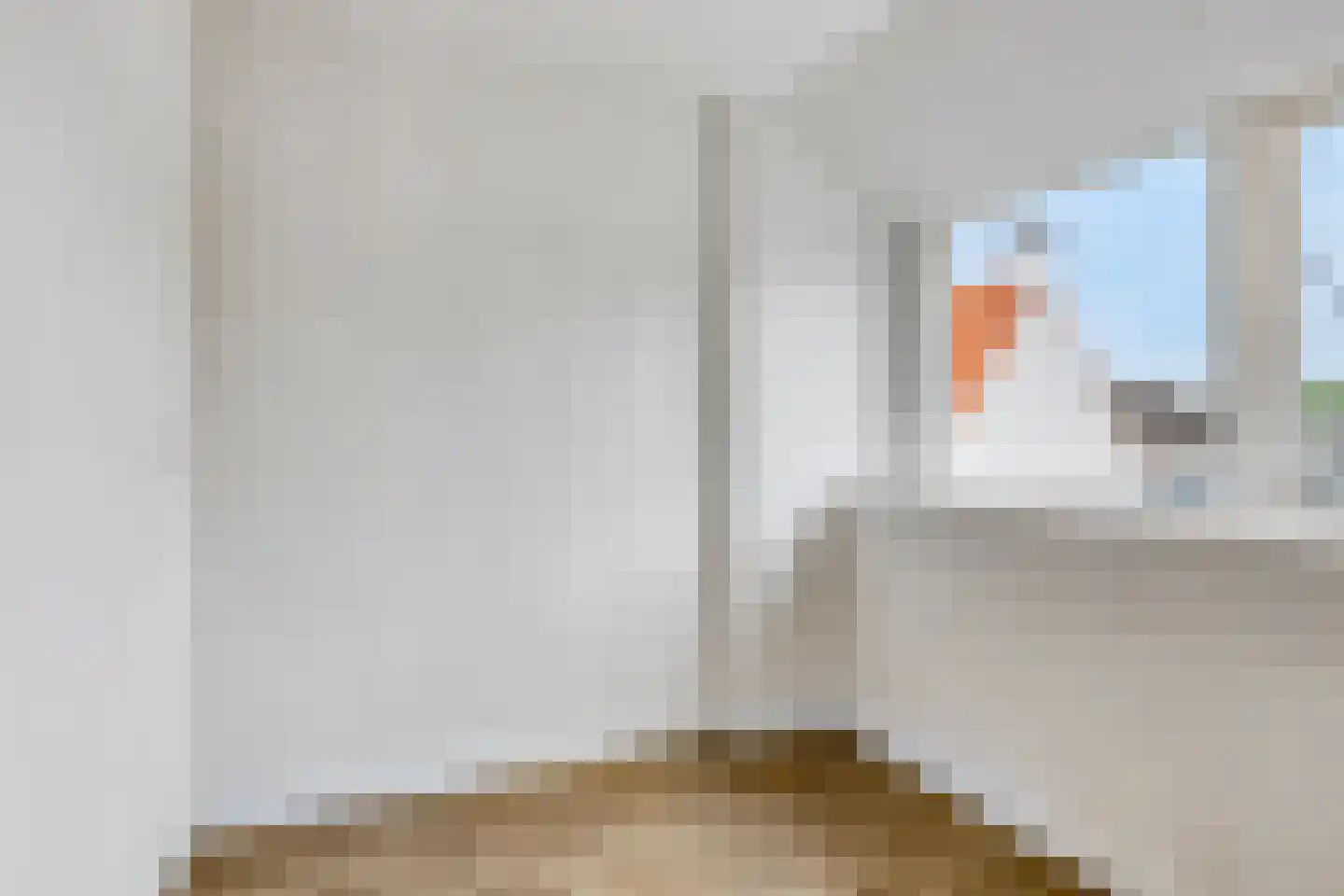 Zuidelijke Achterweg 3 Nieuwe-Tonge thumbnail 34