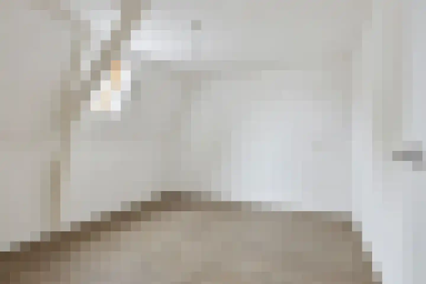 Zuidelijke Achterweg 3 Nieuwe-Tonge thumbnail 38