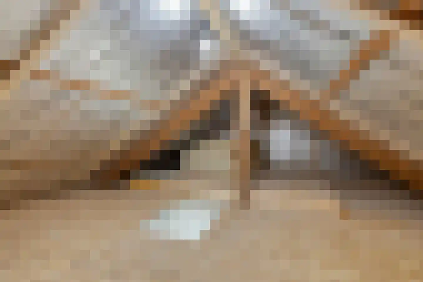 Zuidelijke Achterweg 3 Nieuwe-Tonge thumbnail 43