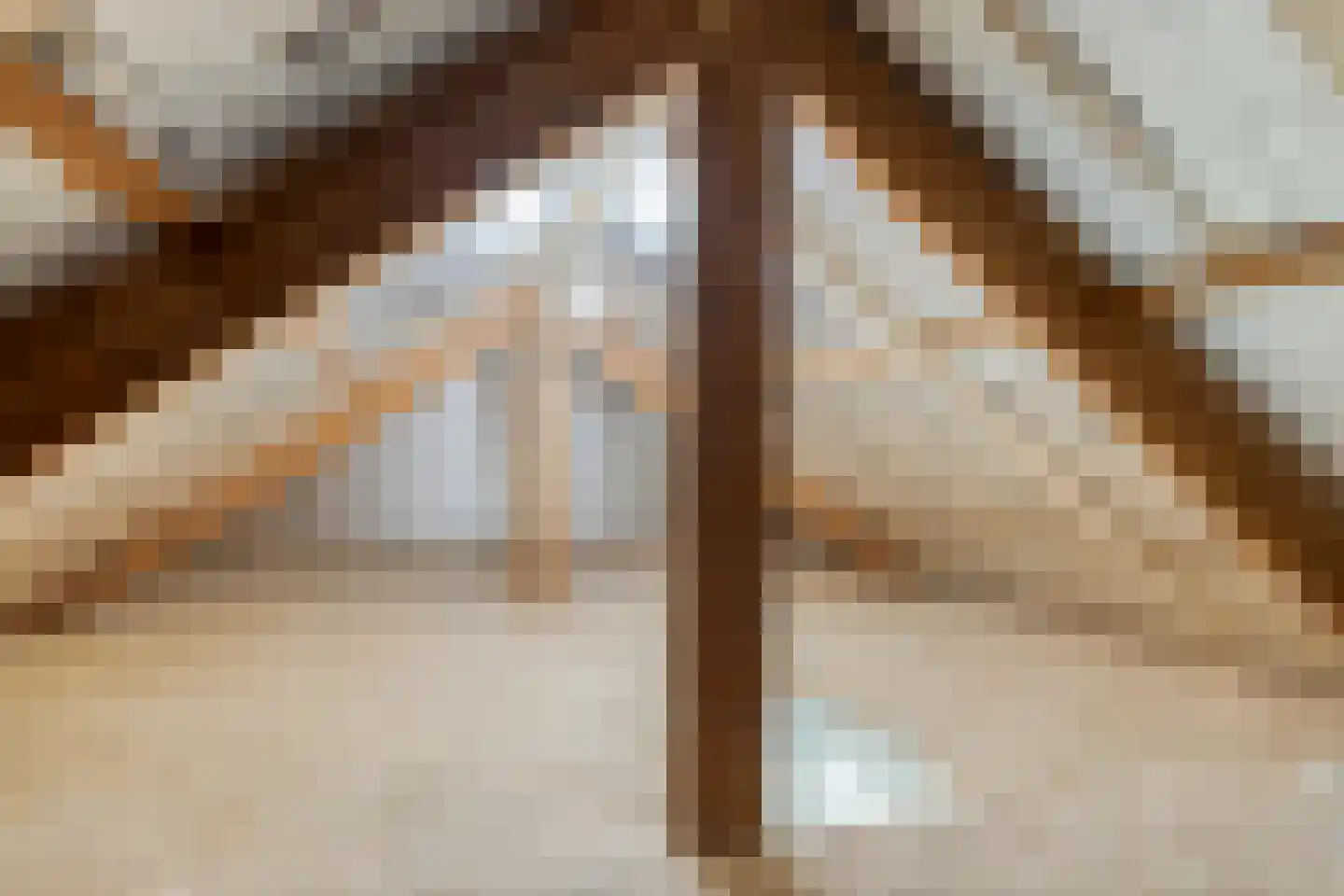 Zuidelijke Achterweg 3 Nieuwe-Tonge thumbnail 44