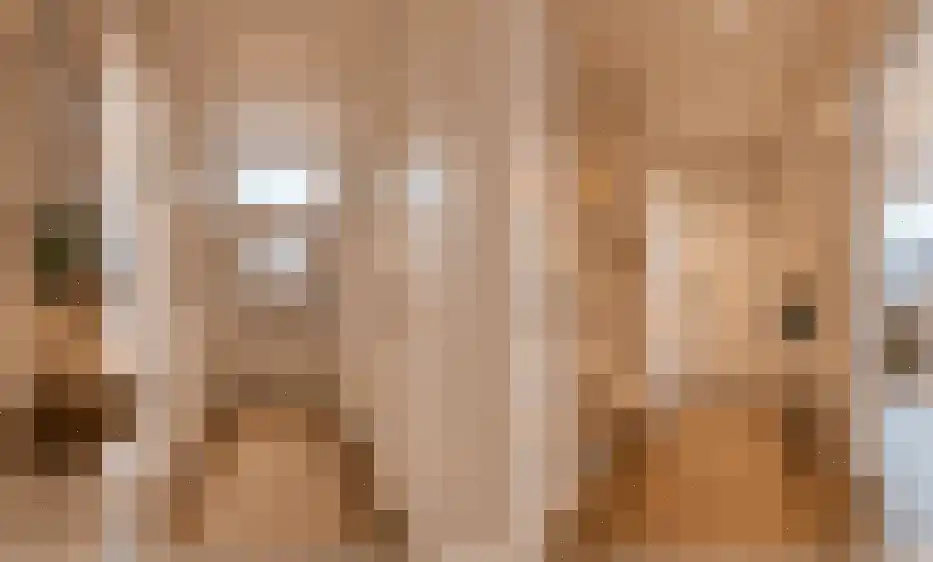 Zuidelijke Achterweg 3 Nieuwe-Tonge thumbnail 6