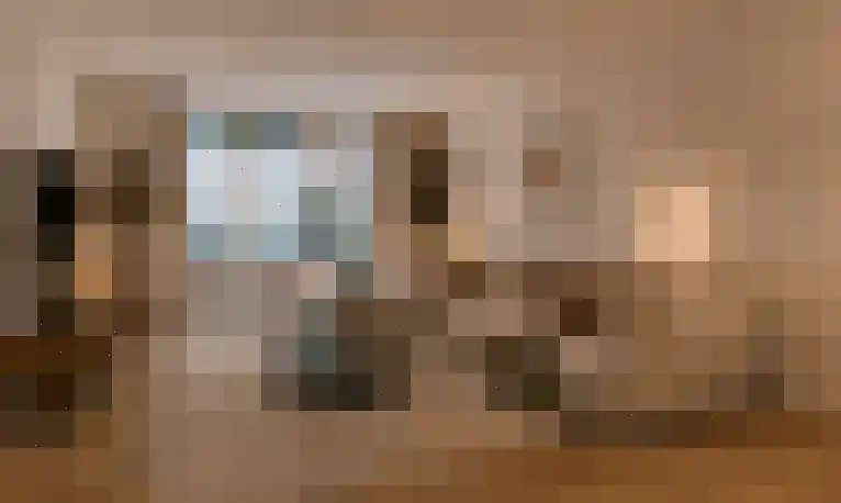 Zuidelijke Achterweg 3 Nieuwe-Tonge thumbnail 9