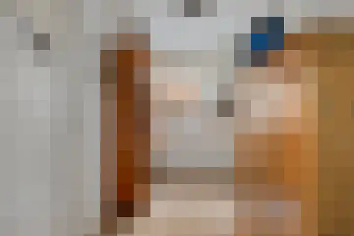 Zuidelijke Achterweg 55 Wemeldinge thumbnail 11