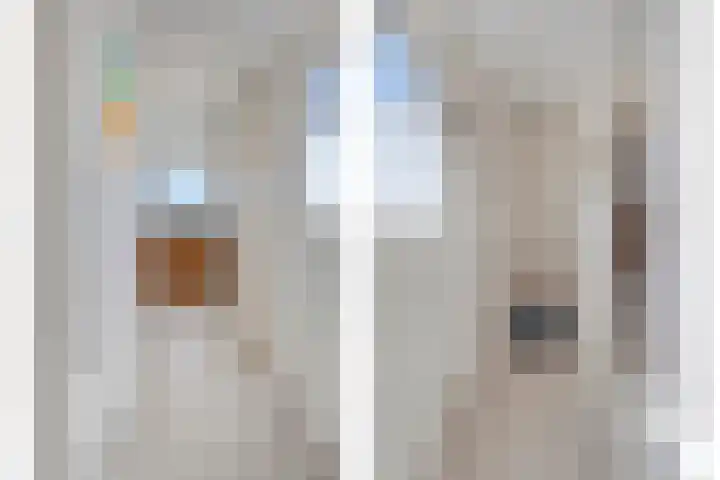 Zuidelijke Achterweg 55 Wemeldinge thumbnail 16