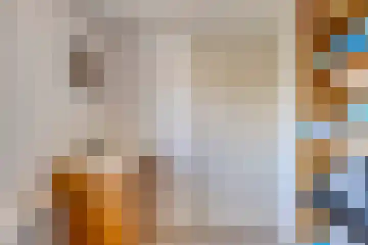 Zuidelijke Achterweg 55 Wemeldinge thumbnail 20