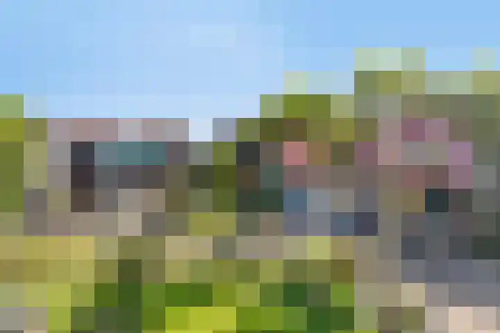 Zuidelijke Achterweg 55 Wemeldinge thumbnail 22