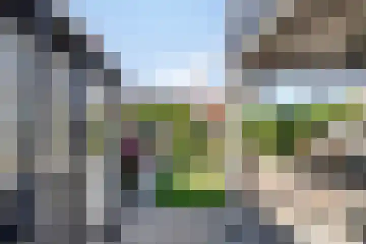 Zuidelijke Achterweg 55 Wemeldinge thumbnail 23