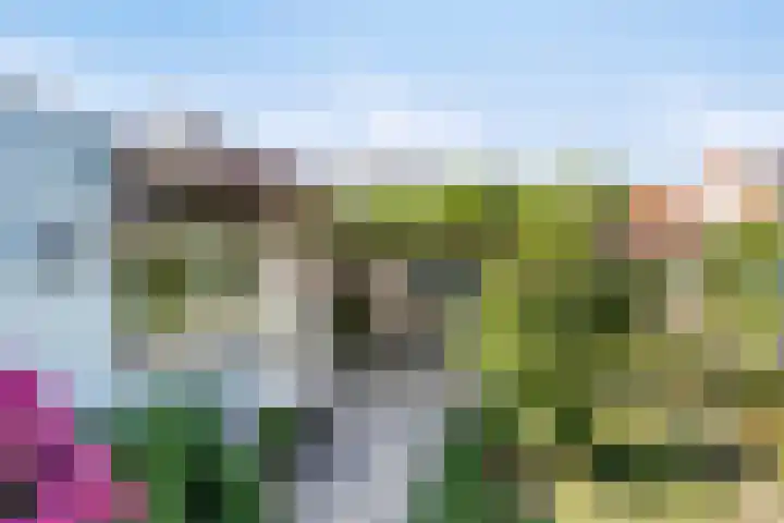 Zuidelijke Achterweg 55 Wemeldinge thumbnail 4