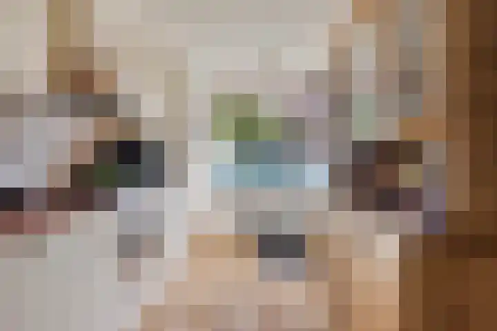 Zuidelijke Achterweg 55 Wemeldinge thumbnail 9
