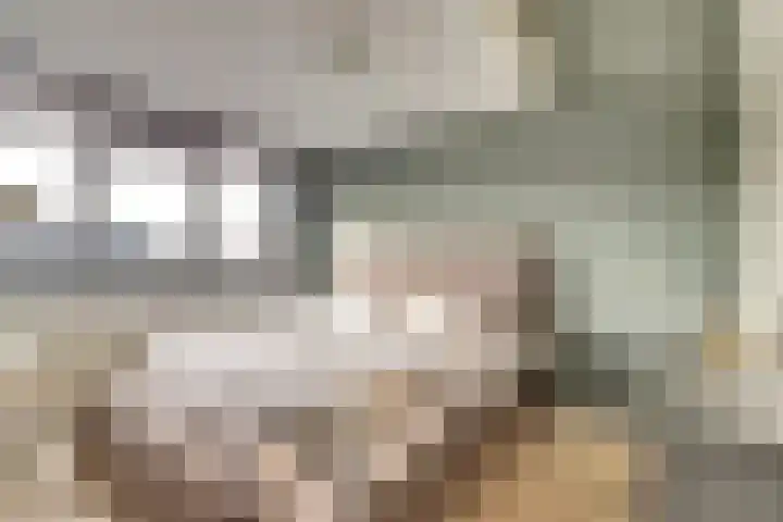 Zuidelijke Burgvlietkade 13 Gouda thumbnail 18