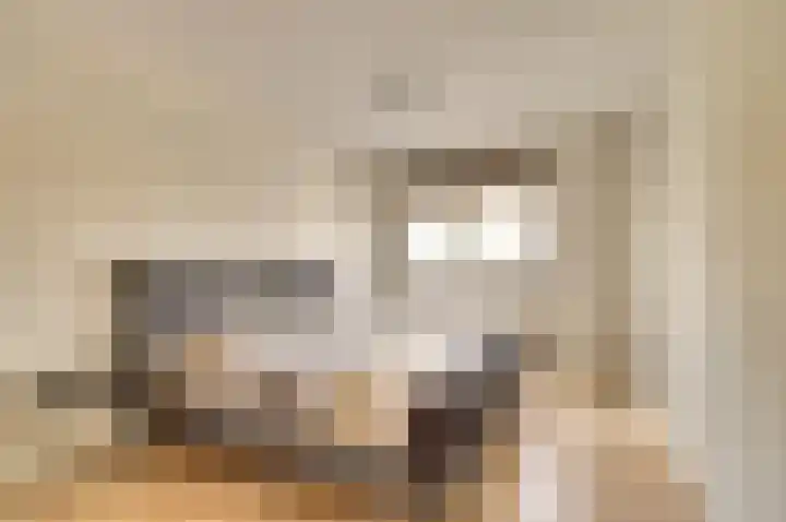 Zuidelijke Burgvlietkade 13 Gouda thumbnail 19
