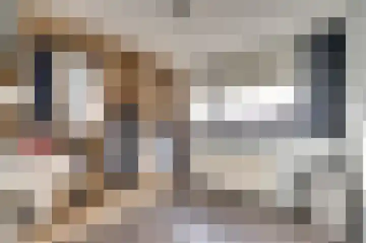 Zuidelijke Burgvlietkade 13 Gouda thumbnail 25