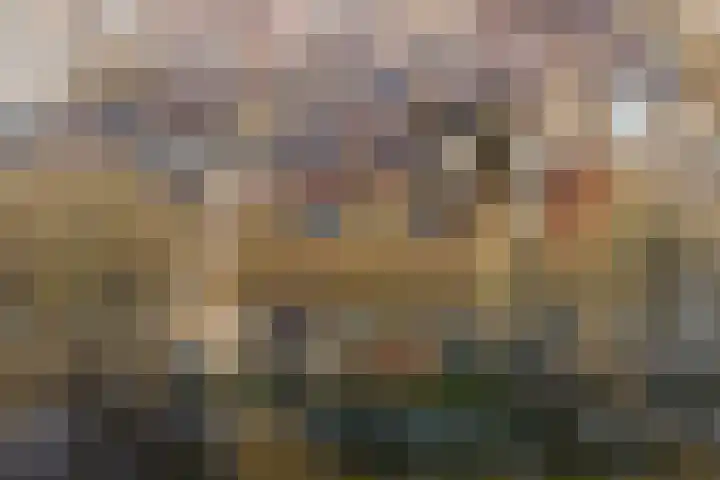 Zuidelijke Burgvlietkade 13 Gouda thumbnail 36