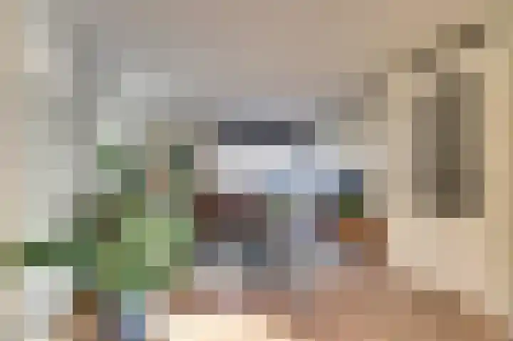 Zuidelijke Burgvlietkade 13 Gouda thumbnail 8