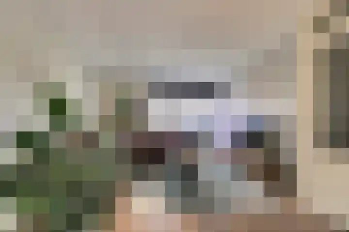 Zuidelijke Burgvlietkade 13 Gouda thumbnail 9