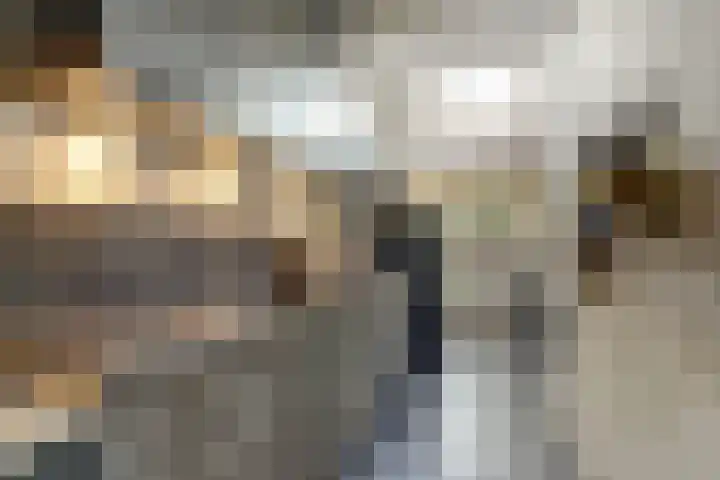 Zuidelijke Burgvlietkade 3 Gouda thumbnail 11