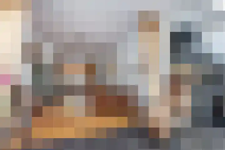 Zuidelijke Burgvlietkade 3 Gouda thumbnail 12