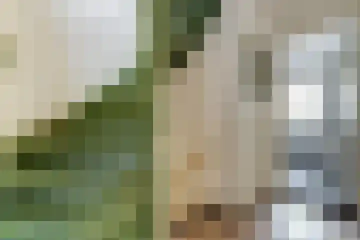 Zuidelijke Burgvlietkade 3 Gouda thumbnail 13