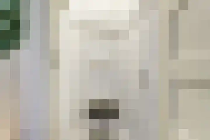 Zuidelijke Burgvlietkade 3 Gouda thumbnail 14