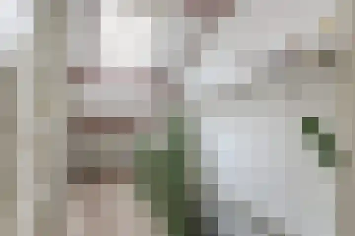 Zuidelijke Burgvlietkade 3 Gouda thumbnail 24