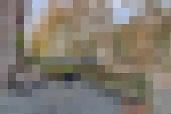 Zuidelijke Burgvlietkade 3 Gouda thumbnail 31