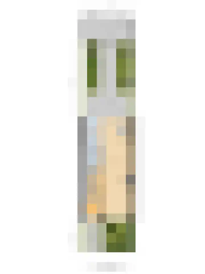 Zuidelijke Burgvlietkade 3 Gouda thumbnail 35