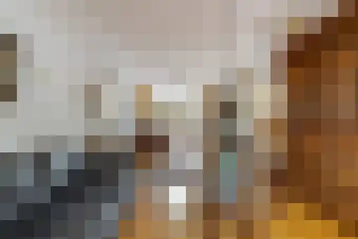 Zuidelijke Burgvlietkade 3 Gouda thumbnail 4