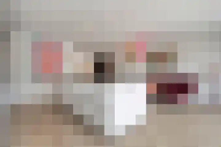 Zuidelijke Hoofddijk 33 Nijverdal thumbnail 11
