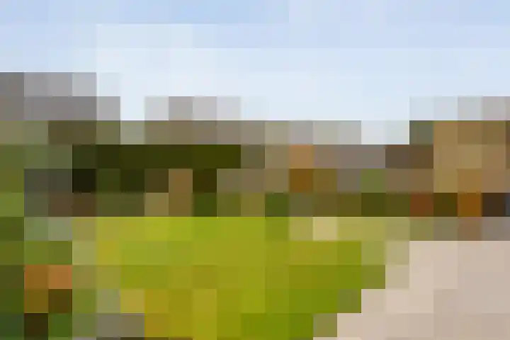 Zuidelijke Hoofddijk 33 Nijverdal thumbnail 34