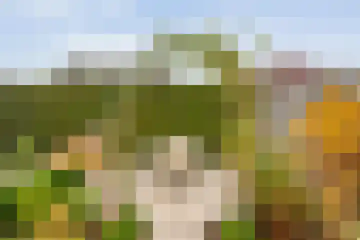 Zuidelijke Hoofddijk 33 Nijverdal thumbnail 35