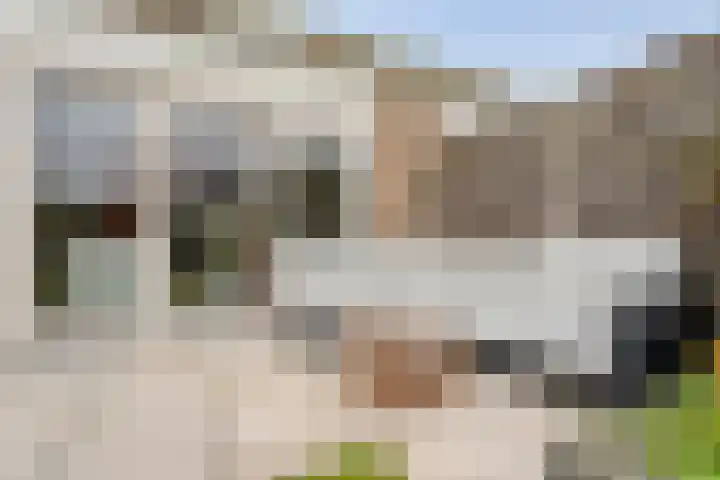 Zuidelijke Hoofddijk 33 Nijverdal thumbnail 4