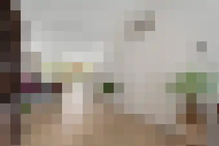 Zuidelijke Hoofddijk 33 Nijverdal thumbnail 6