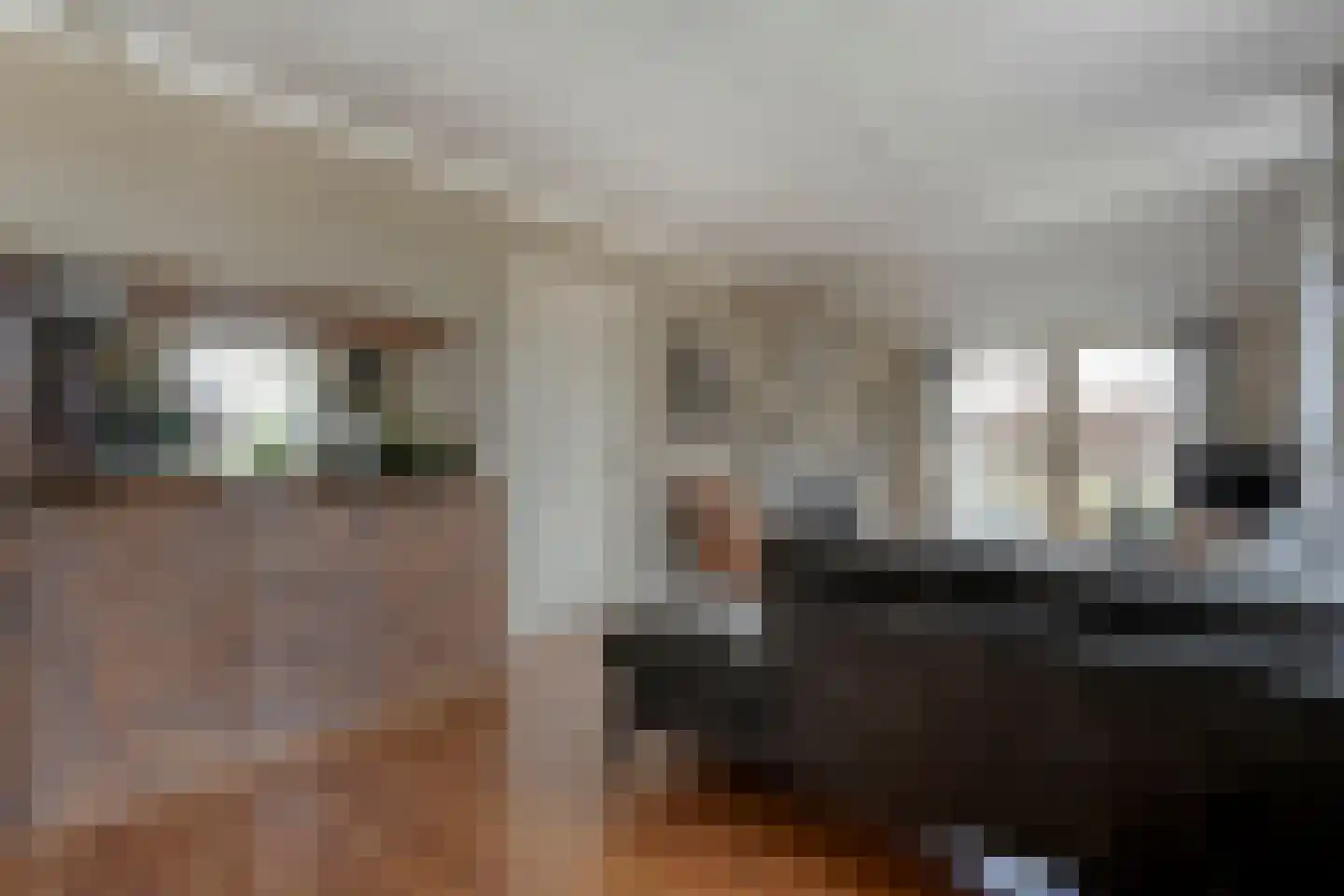 Zuidelijke Kanaaldijk 15 Hellendoorn thumbnail 38