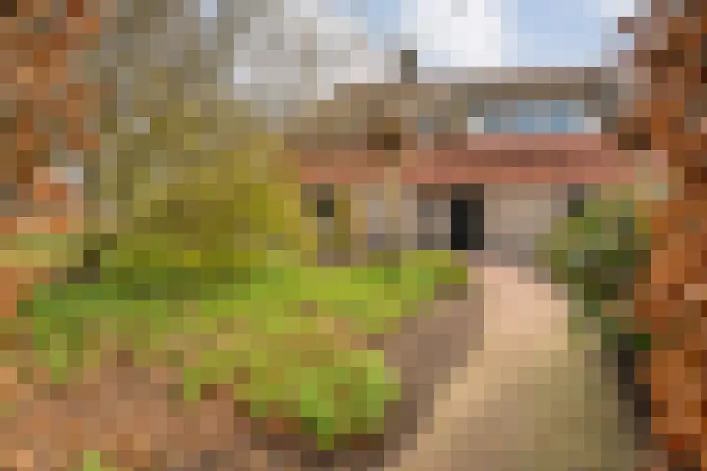 Zuidelijke Kanaaldijk 15 Hellendoorn thumbnail 4