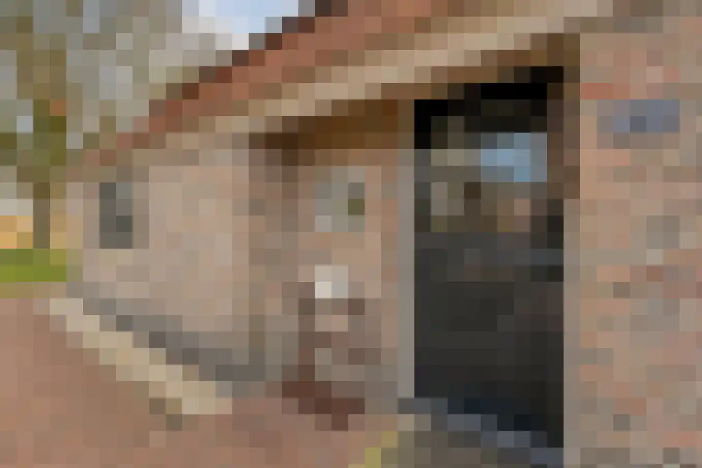 Zuidelijke Kanaaldijk 15 Hellendoorn thumbnail 5