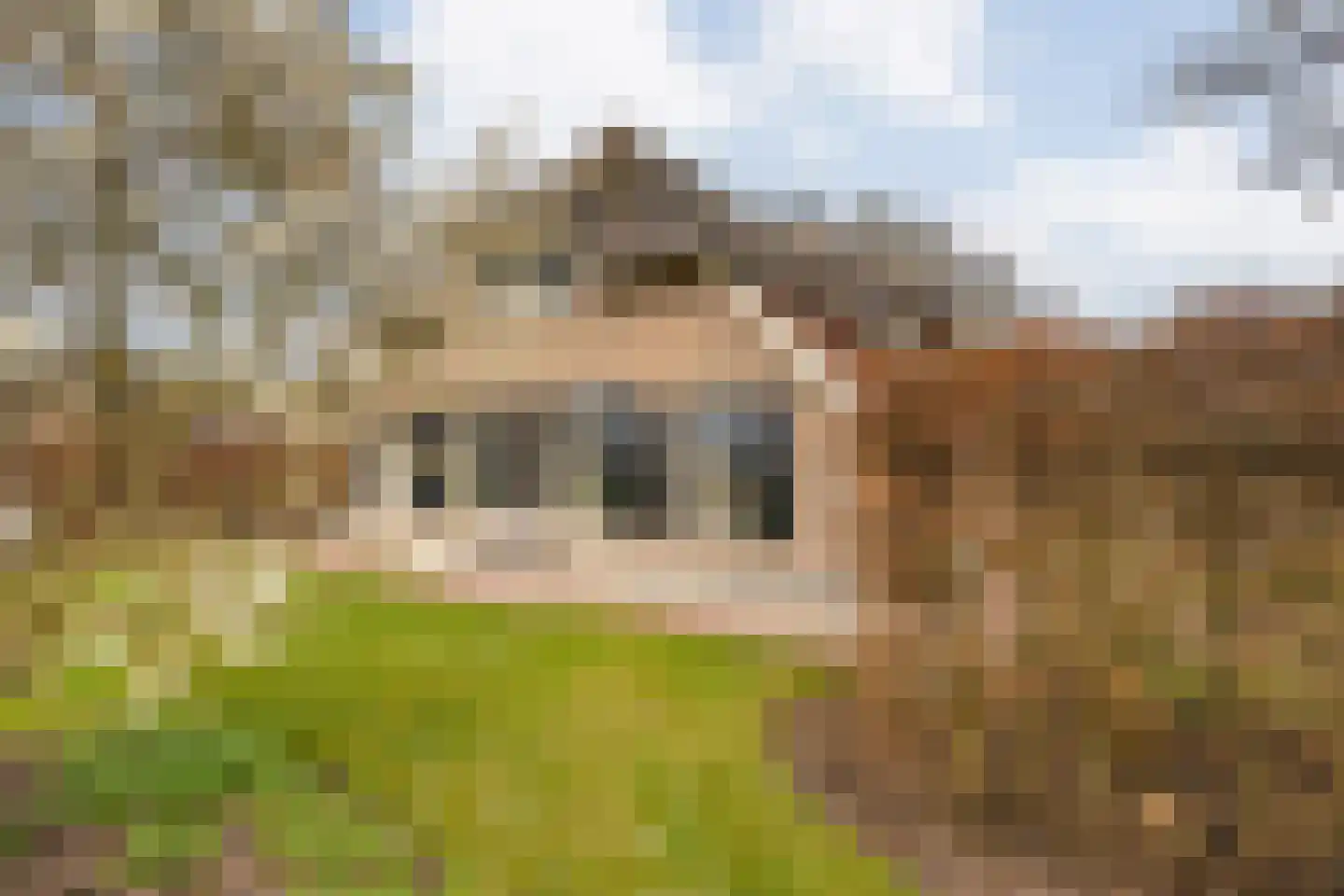 Zuidelijke Kanaaldijk 15 Hellendoorn thumbnail 58